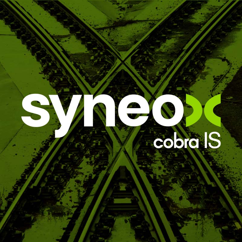 SAO branding proyectos destacados - Syneox